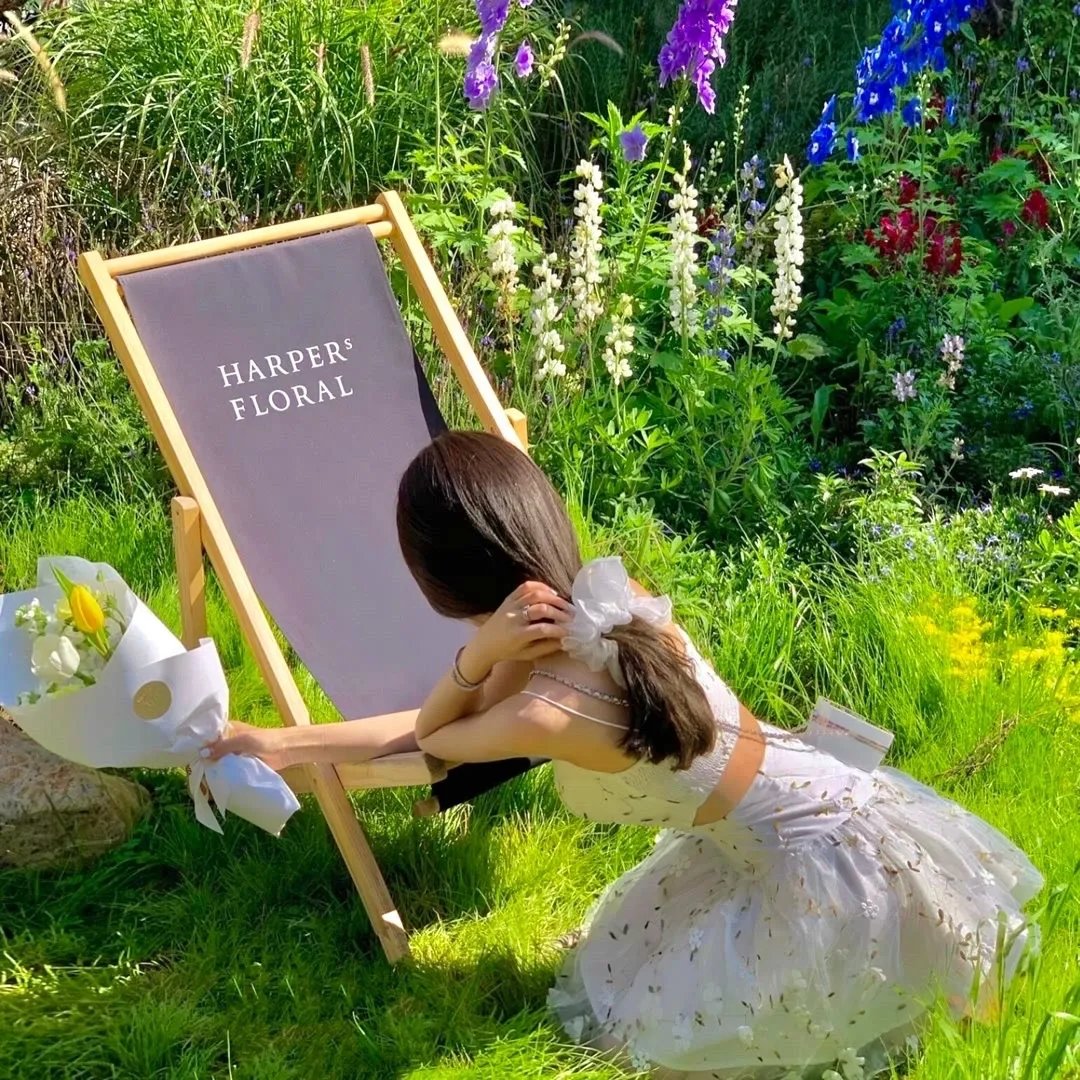 摩尔先生以及巧克力工厂