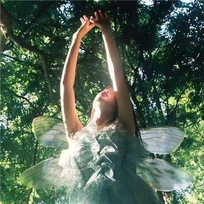 金榜题名之被偷走的人生